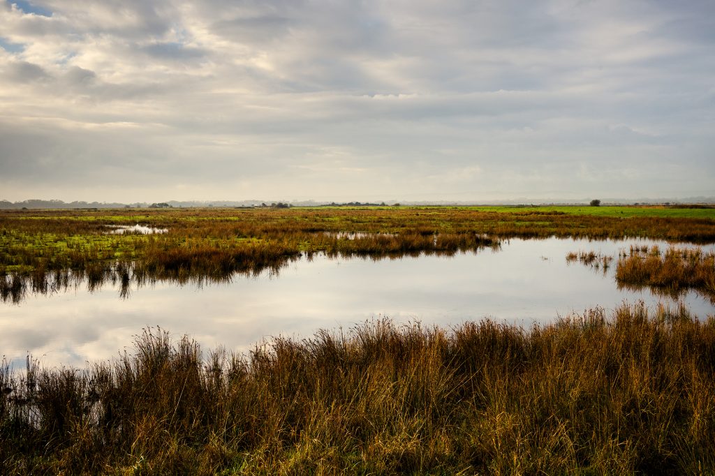 Pevensey Levels, East Sussex